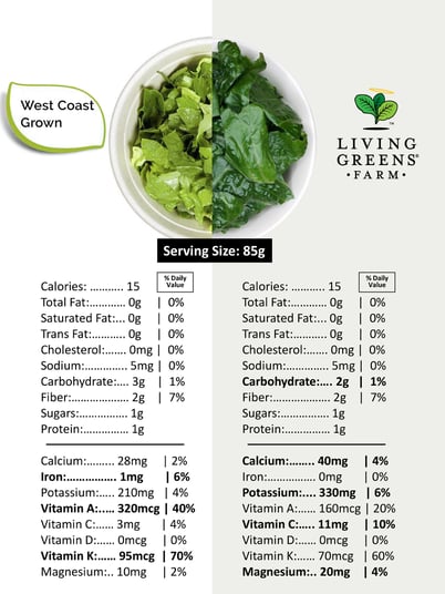 LGF and Dole Chopped Romaine Nutritional Comp - 1 sheeter