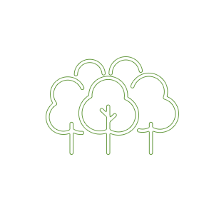 Aeroponics Technology for Indoor Growing - Living Greens Farm