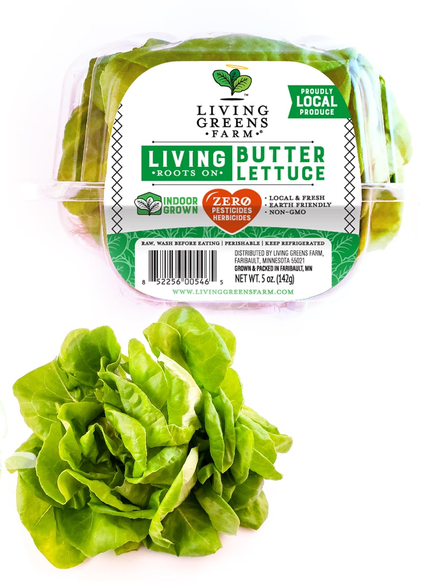 WHole leaf butter lettuce-1
